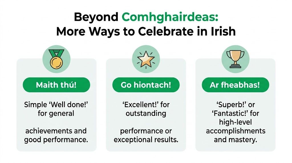 A graphic showing three Irish phrases for congratulations with icons for a medal, star, and trophy.
