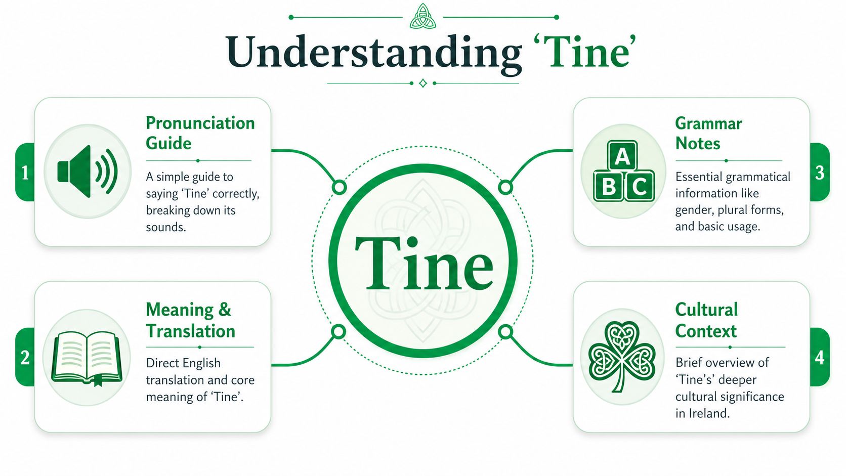 An infographic titled Understanding Tine with four sections explaining pronunciation, meaning, grammar, and cultural context of the word.