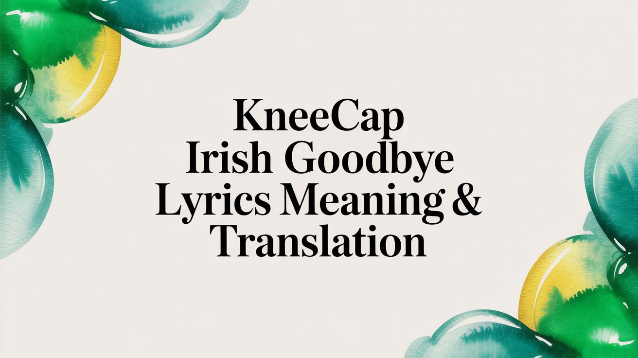 Kneecap Irish Goodbye Lyrics Meaning & Translation
