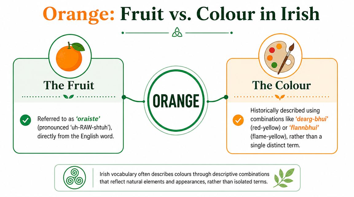 An educational infographic explaining the difference between the fruit and the colour orange in the Irish language.