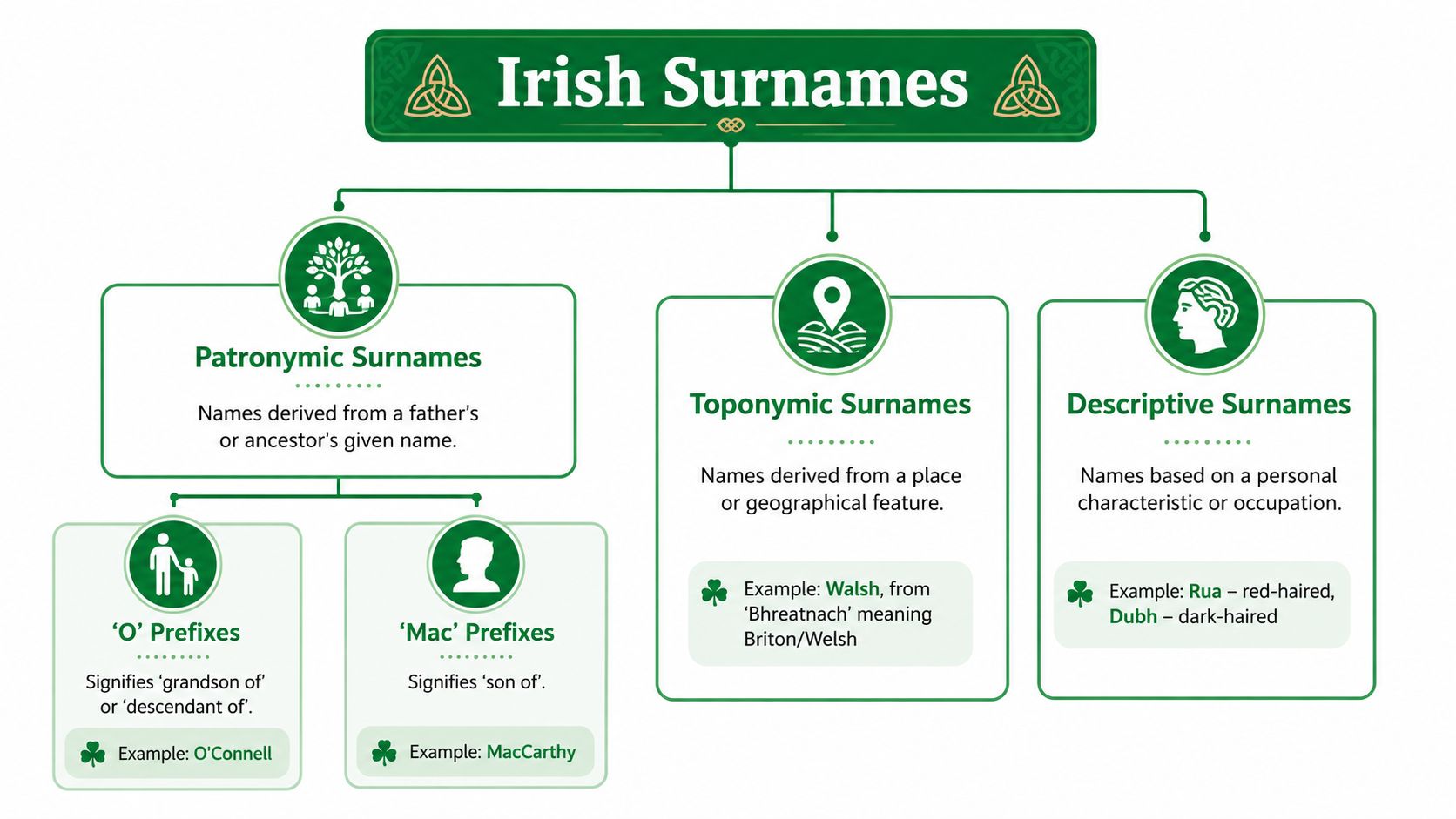 A flowchart infographic explaining the origins and categories of Irish surnames including patronymic, toponymic, and descriptive names.