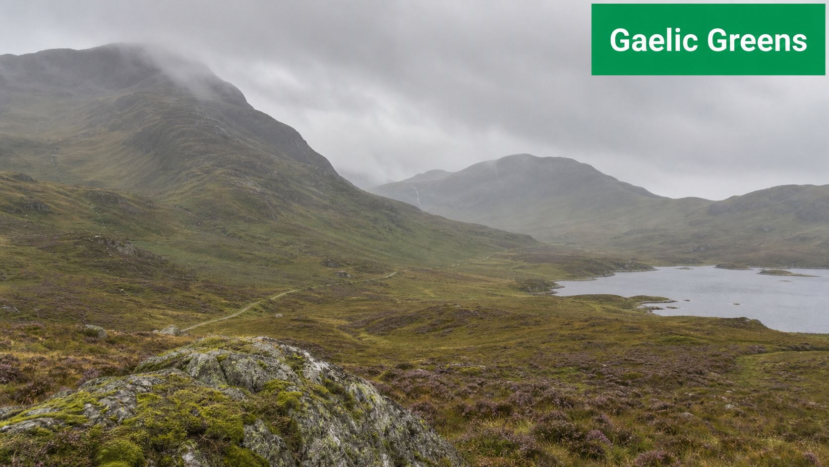 A scenic landscape in the Scottish Highlands with rolling green hills, a cloudy sky, and a lake.