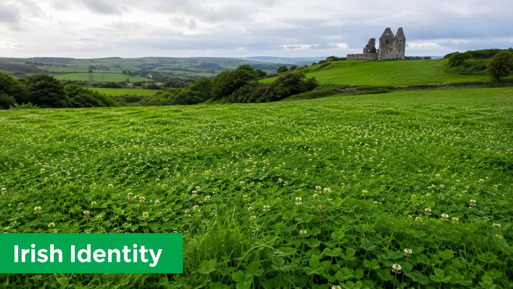 A scenic landscape featuring a lush green field filled with white clover leading to historic ruins.