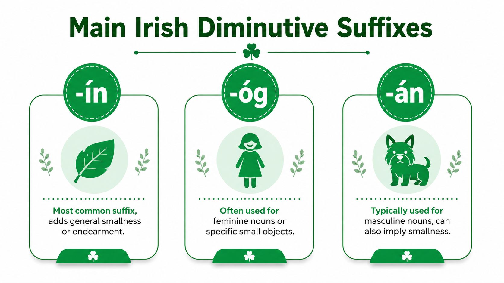 An infographic explaining the main Irish diminutive suffixes, including -ín, -óg, and -án with descriptions.