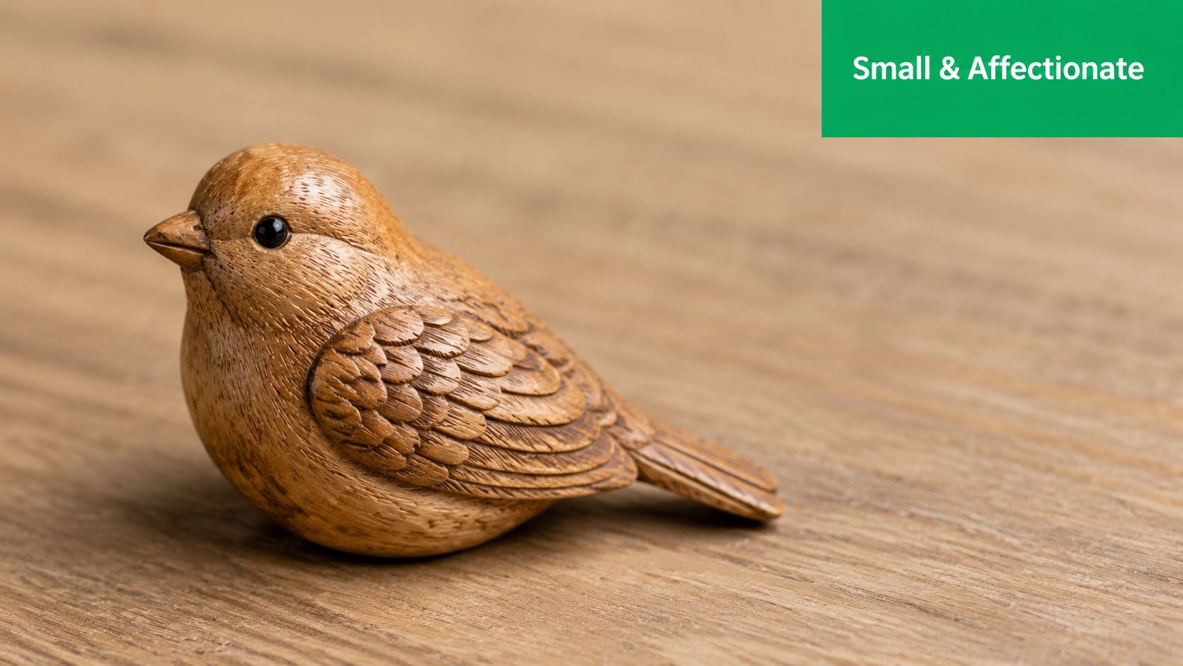 A small wooden bird carving sitting on a wooden surface with a green banner in the background.