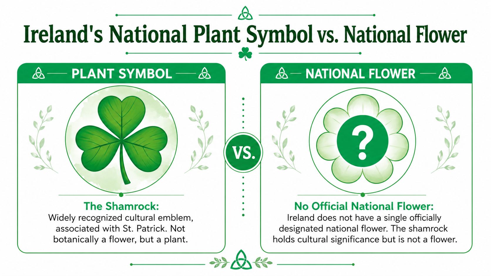 A graphic comparing Ireland's plant symbol, the shamrock, to its lack of an official national flower.