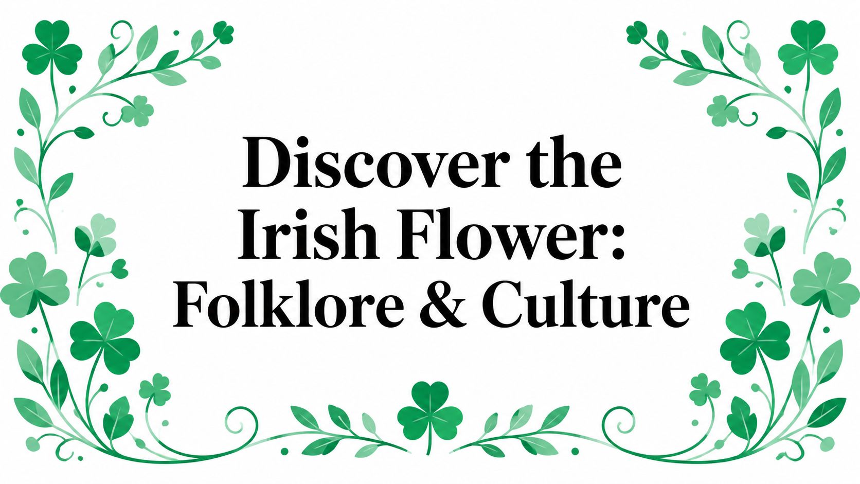 Discover the Irish Flower: Folklore & Culture