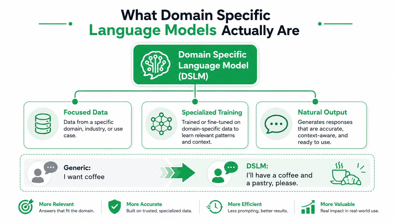 An infographic titled What Domain Specific Language Models Actually Are explaining their data, training, and output benefits.