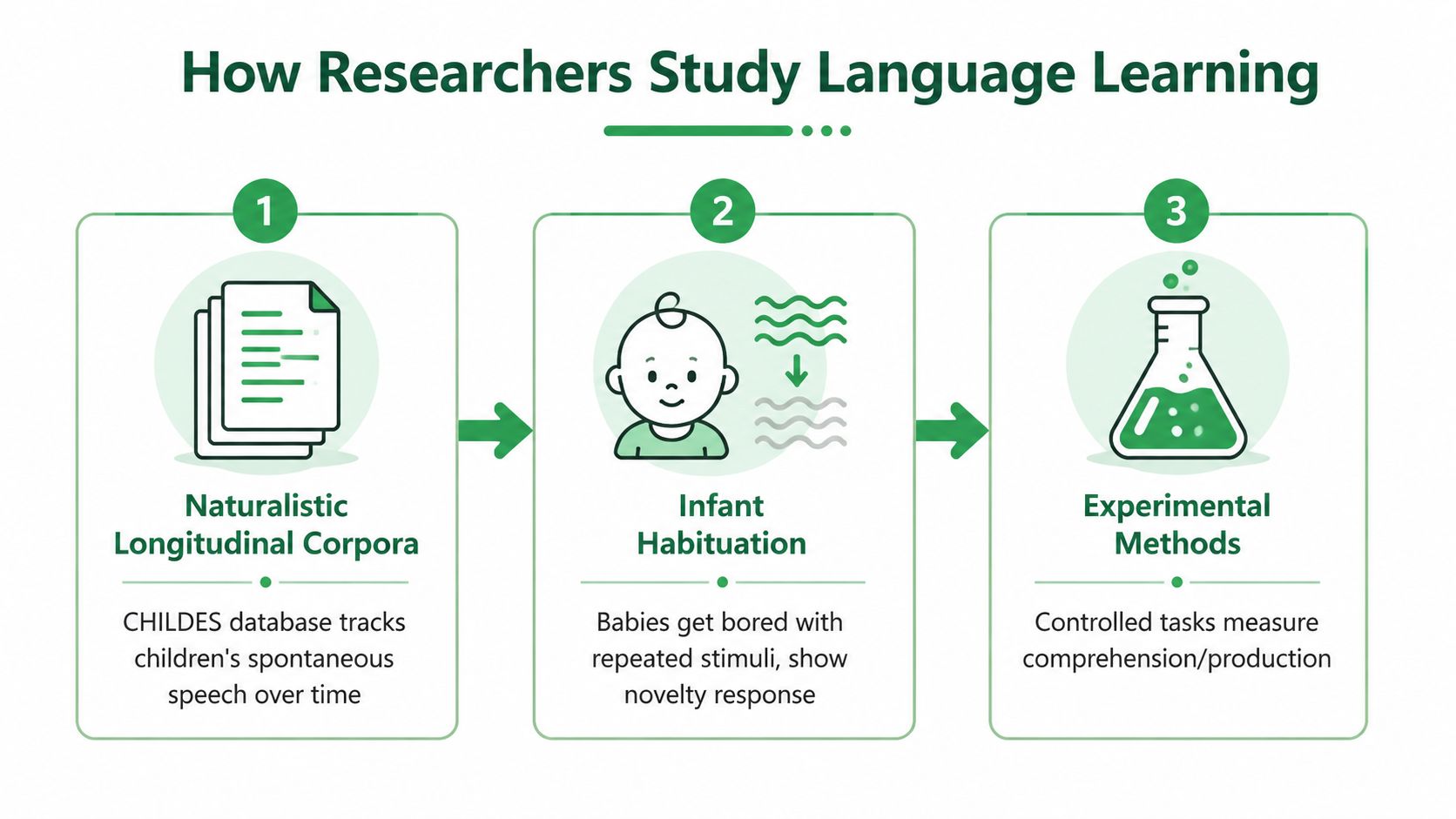 A diagram illustrating three methods for studying language learning, including longitudinal corpora, infant habituation, and experimental methods.